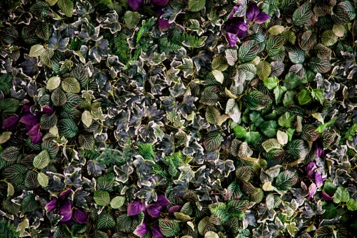 Jardín vertical artificial