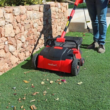 Descarga manual de mantenimiento Realturf